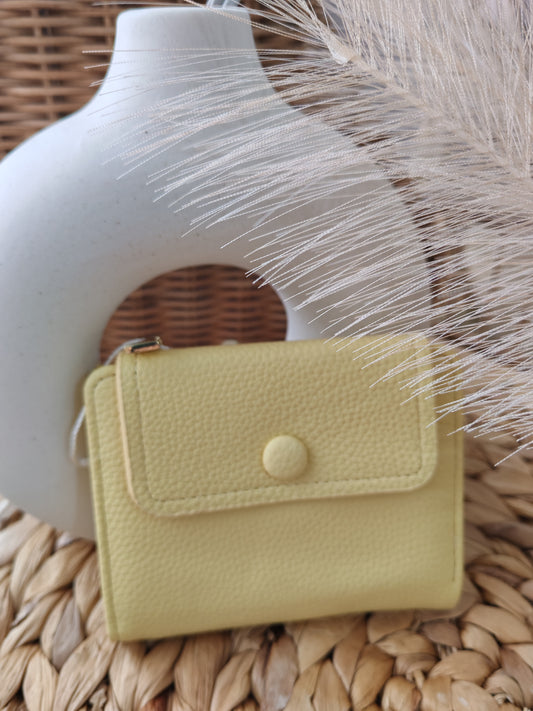 Cartera Aura